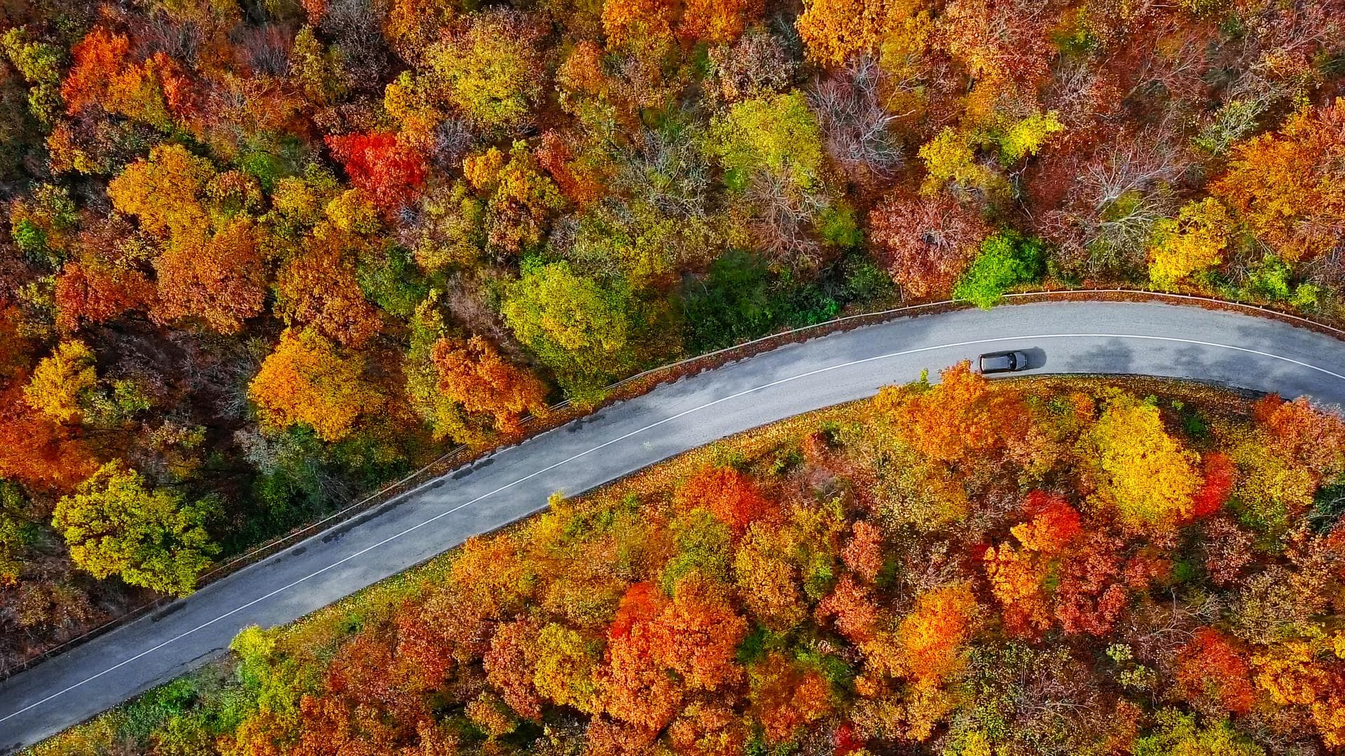 Autumn colors X